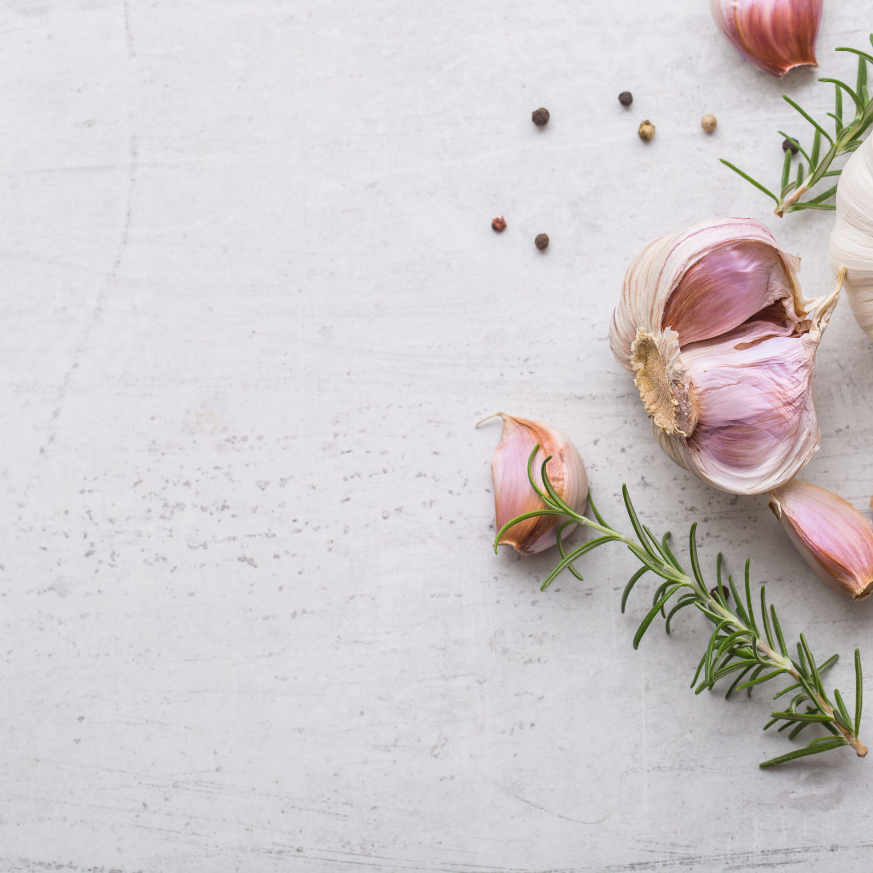 Garlic. Garlic bulbs. Fresh garlic with rosemary and pepper on white concrete board.